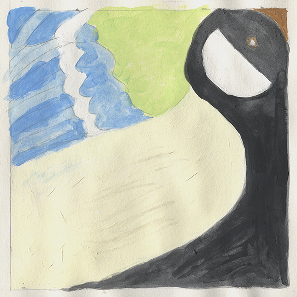 Die Quadratur der Meise