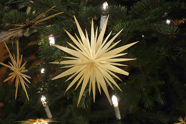 Strohstern Strohstern an einem Christbaum