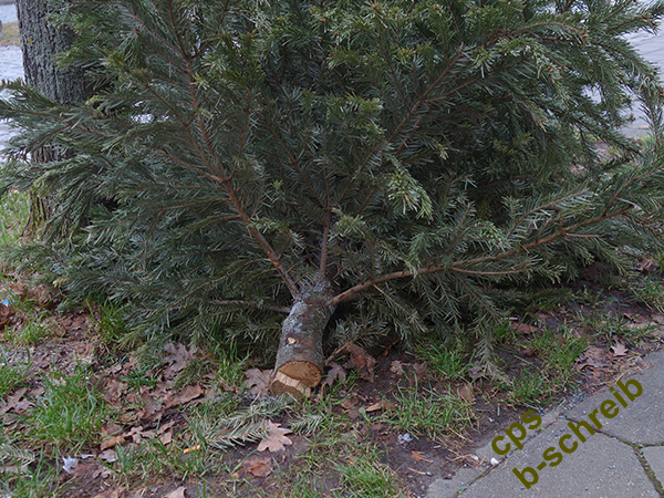 Christbaum als Müll