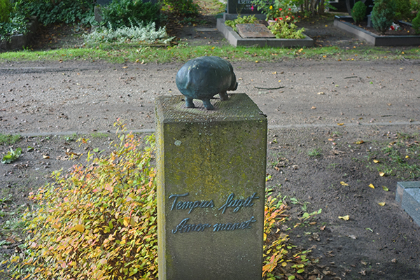 die Liebe bleibt Amor manet - Die Liebe bleibt