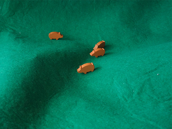 Schweine auf der Wiese